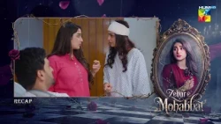Zehar-e-Mohabbat – Recap 14 - [ Zoha Tauqeer - Omer Shahzad ] - HUM TV