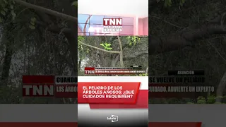 🟩 #Asuncion | When that jewel of nature becomes a danger