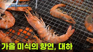 [미식 투어] 가을 미식의 향연, 대하 [생방송 굿모닝 대한민국] | KBS 260923 방송