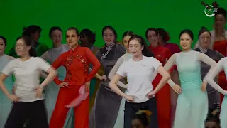 大富电视台报道：2026东京艺术节中国舞公演在东京举行