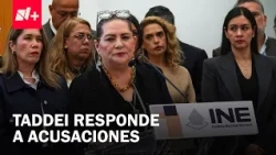 Guadalupe Taddei alleges attempt to destabilize the INE following conflict of interest