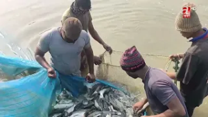 माछापालनका लागि छुट्टै पहिचान बन्यो सियारी गाउँ