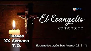 Gospel 📖 commentary August 20🕊️