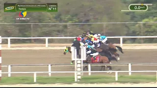 11th race | 6th leg | STAR PLUS | La Rinconada Racecourse | Meeting 06 | 2026