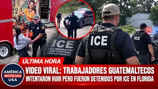 🚨VIDEO VIRAL: Trabajadores guatemaltecos intentaron huir pero fueron detenidos por ICE en FLORIDA