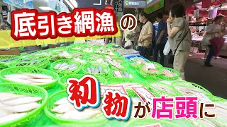 Bottom Trawling Season Opens: First Catch Hits Omicho Market, Sweet Shrimp and Megisu 20-30% Chea...