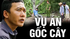 VỤ ÁN GỐC CÂY | Truy Tìm Bằng Chứng 2026 | Ký Sự Pháp Đình THVL | Chuyện Cảnh Giác Mới 2026
