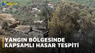 COMPREHENSIVE DAMAGE ASSESSMENT IN THE FIRE ZONE