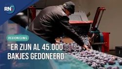 200,000 punnets of plums need to be saved now || RN7 REGIONAL NEWS