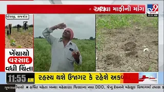 Rain Break Hits Dhoraji Farmers Hard! Crops Start Drying Amid Water Shortage | Gujarat | TV9Gujarati