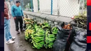 Padre viaja desde Tiwintza para vender sus productos y salvar la vida de su bebé
