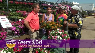 Let's Grow It - Stutzmans: Produce