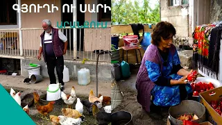 «Ստանոկով հանած» հարսի որոնումներում. Ինչպե՞ս են ապրում սարվորները