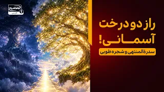 راز شجره طوبی و سدرة المنتهی در کلام امام سجاد علیه السلام