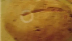 Az Agrárinfó vendége Kiss Norbert Ivó