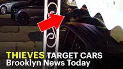 Brooklyn News Today: Coney island assault, hit-and-run charge and luxury dog resort