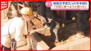 「殺処分予定の牛を知り…」小学生が命について学ぶ 牧場の取り組み