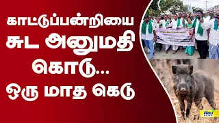 காட்டுப்பன்றியை சுட அனுமதி கொடு ...ஒரு மாத கெடு.. #wildboar #protest #farmers #hosur
