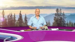 Parlez-moi d'avenir 20h a 22h - 02 août 2026
