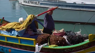 €700,000 OĦRA F’APPOĠĠ LIS-SAJJIEDA