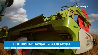 ЕГІН ЖИНАУ НАУҚАНЫ ЖАЛҒАСУДА