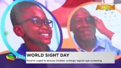 World Sight Day: Parents urged to ensure children undergo regular eye screening - Evening News