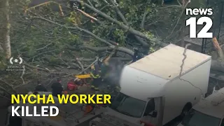Tree collapse during nor'easter kills NYCHA worker in Brooklyn