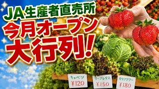 [Huge Crowds] Sold Out in 45 Minutes!? JA Farm Stands Are Opening One After Another! Freshly Pick...