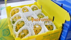 Cuando hay decisión, hay resultados.