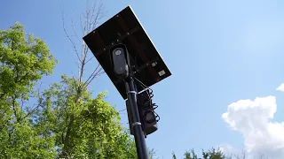 Flocked after citizen complaint