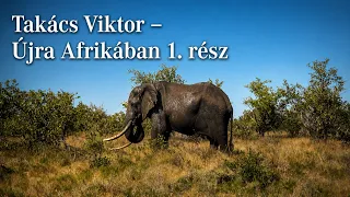 Takács Viktor – Újra Afrikában 1. rész: Dél-afrikai vadászkaland