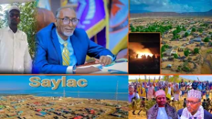 «Между братьями Авдалом и Салалом ничего нет, они находятся в руках иностранцев», — Шейх Мусе.