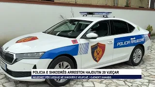 Policia e Shkodrës arreston hajdutin 20 vjeçar