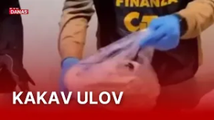 Policija objavila rat ilegalnoj trgovini ugroženim divljim životinjama | RTL Danas