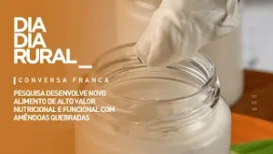 Pesquisa desenvolve novo alimento de alto valor nutricional e funcional com amêndoas quebradas