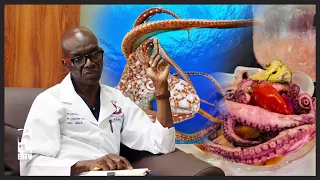 DR. JANABI: DOES OCTOPUS SOUP BOOST MALE VITALITY? DR. JANABI’S ANSWER