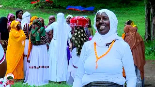 Dachee Magariite || Dookimantarii Aanaa Gammachiis