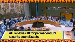 AU renews call for permanent UN security council seats