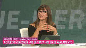 Hoy se trata en el Parlamento el acuerdo entre el Mercosur y la Unión Europea