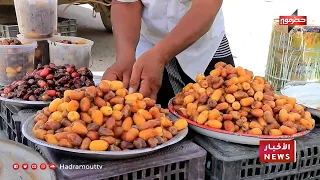 Sluggish market activity as date season begins in Wadi Hadhramaut, with hopes for improvement