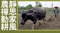 【證嚴上人衲履足跡】 清淨勞作 ‧ 農禪勤耕｜志學農場務農之道｜掃除淤泥 清掃精舍 20261017