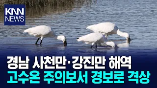 'High Water Temperature Warning' Issued for Gyeongnam Sacheon Bay and Gangjin Bay / KNN