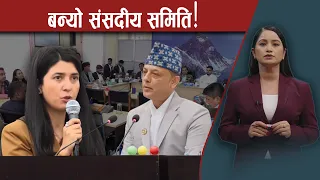 जलवायु न्यायलागि सडकदेखि सदनसम्म एउटै श्वर - NEWS24 TV