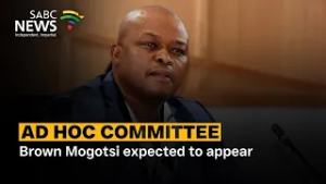 Ad Hoc Committee | Brown Mogotsi expected to appear