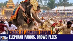 Shivamogga Jamboo Savari: Elephant Somanna Panics, Sparks Chaos During Dasara Procession | News9