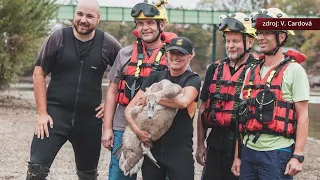 Zprávy ZAK TV 18. 8. 2026