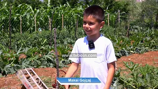 AKTUALE - Maksim Gojçaj / Frytet e punës dhe dashuria për natyrën