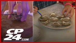 Ontario oyster shucking competition: Yes, you read that right | From the Archives