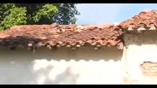 Insecurity hits a Luque school once again