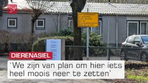 Almere nog even zonder dierenasiel, maar er komt 'iets moois' | Omroep Flevoland